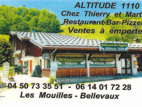 Altitude 1100