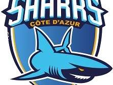 Championnat de France Basket Antibes Sharks Pro B 2025-2026