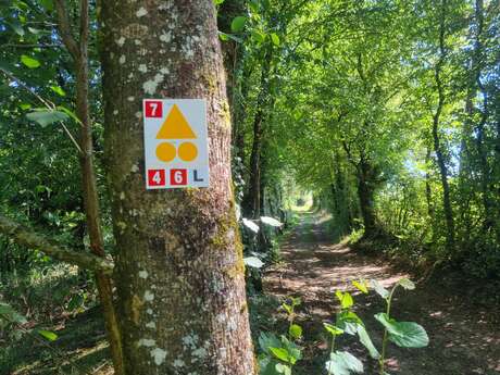 Circuit VTTAE n°6 (rouge) Chemins des bois de Bresse