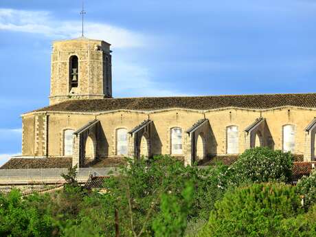 Le Vallon Provençal