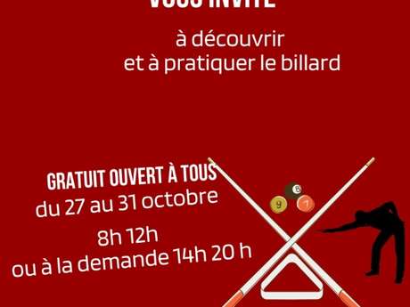 Découverte du billard français Découverte du billard français