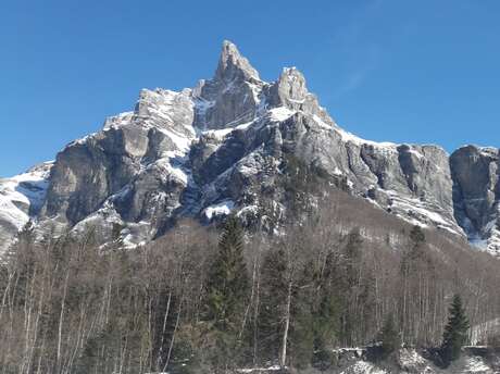 Trekycimes : Sortie découverte - Visite de la réserve naturelle de Sixt-Fer-à-Cheval / Passy