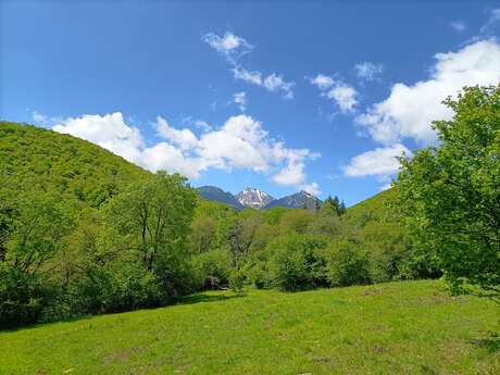 Mijanès-Donezan climbing cliff