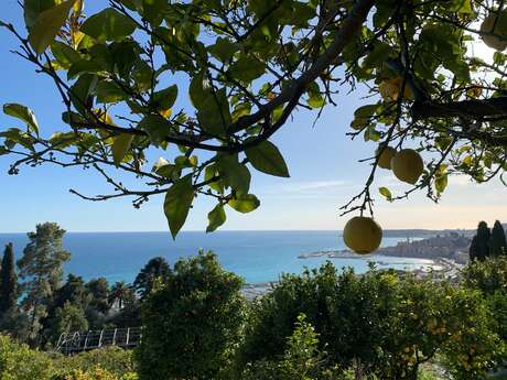 92ème Fête du Citron® - Excursion : Visite guidée de la Casetta