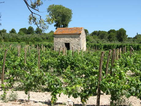 Domaine Costes Cirgues