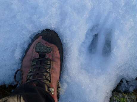 Atelier traces du Parc national des Ecrins