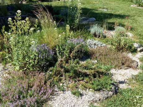 Jardin d'aromatiques d'Annie - Bienvenue dans mon jardin au Naturel