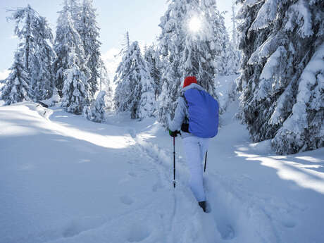 Initiation balade en raquettes