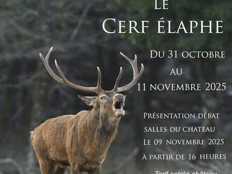 Exposition de photos "Le Cerf Elaphe" par Jean Claude Capel
