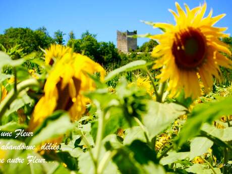 Exposition photos : Résilience, une ode à l'espoir
