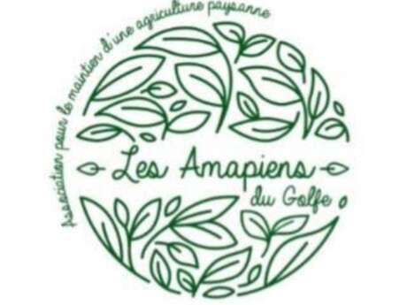 Amapiens du Golfe