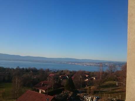 Appartement "Léman" dans maison - 44m² - 2 chambres - Peillex Thérèse