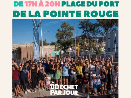Action de ramassage petite plage du port de la Pointe Rouge