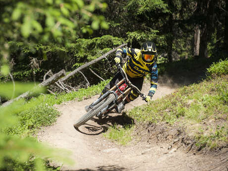 Komm und teste dein Bike!