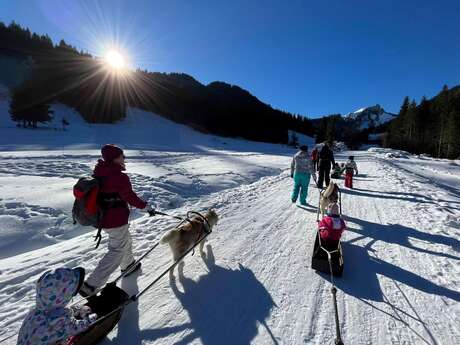 Pulka Scandinave avec les chiens de traîneaux