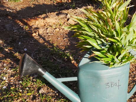 Atelier jardin d'art et d'essai