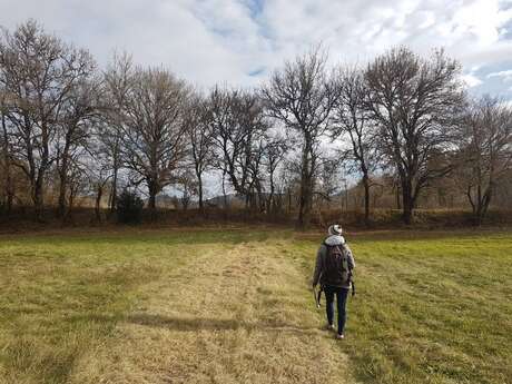 COMPS-SUR-ARTUBY -  Sentier des Prés de Laure