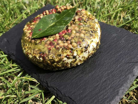 À la rencontre des savoir-faire des Alpilles :  La Fromagerie des Alpilles