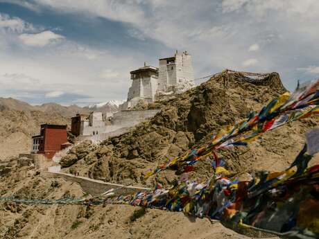 Des Souvenirs au Voyage et retour, autour du récit des aventures d'Alexandra David-Neel au Tibet