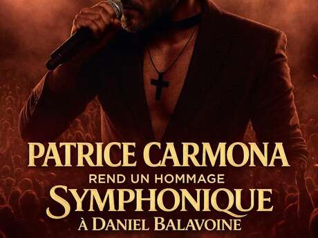 Patrice Carmona- Hommage à Daniel Balavoine
