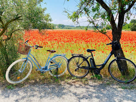 Orange Bike Via Venaissia