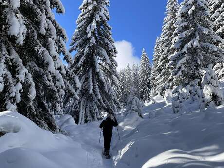 Sortie Raquettes & Fondue en plein air