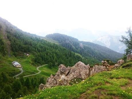 Enduro 17 (Experte) - Col de Mille