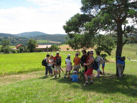 Sortie pédestre "St-Julien-Molin-Molette, GR 65, St-Appolinard, St-Jacques d’Atticieux" - Journée
