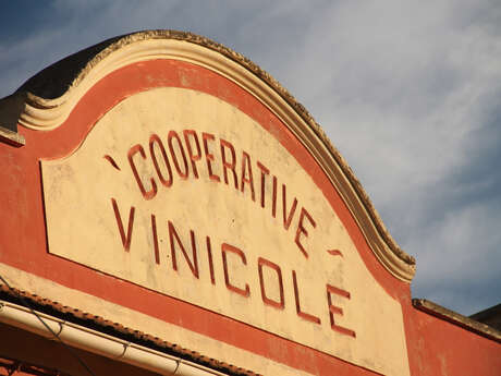 Coopérative vinicole