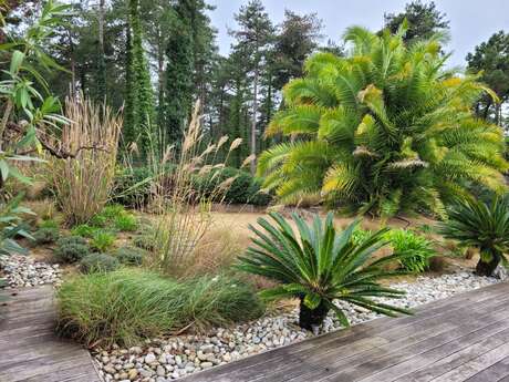 Paysagisme - Pépinières Guilbon