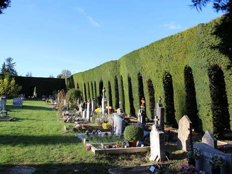 Visite guidée du cimetière de Forcalquier (pour les groupes)