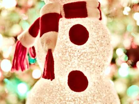 Village de Noël à Digne-les-Bains