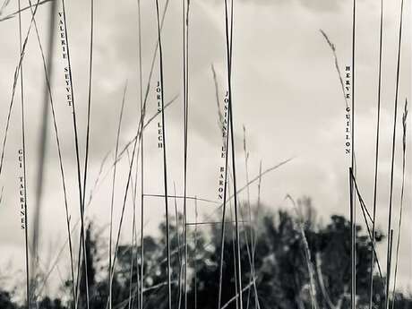 Théâtre : "Perdus dans les herbes folles"