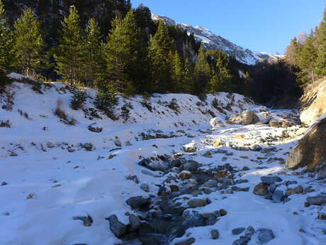 Itinéraire raquettes - La Combe Saint Martin