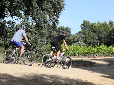 Rognes : Caireval - circuit VTT 2