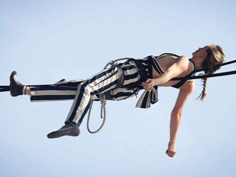 Air Show "Sound in the air"