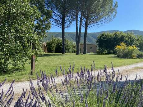 Domaine de la Bastidonne - Mas de L'Olivier