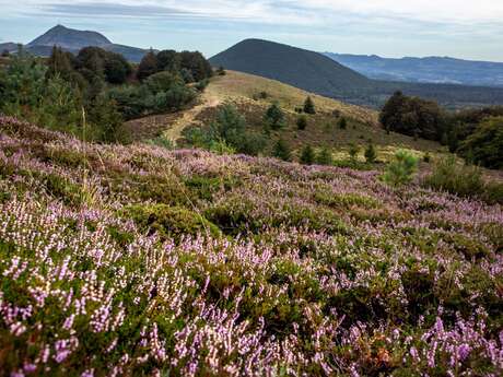 Les puys de Jumes, de la Coquille et des Gouttes