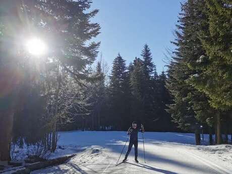 Stage de perfectionnement en ski de fond à ZeCamp