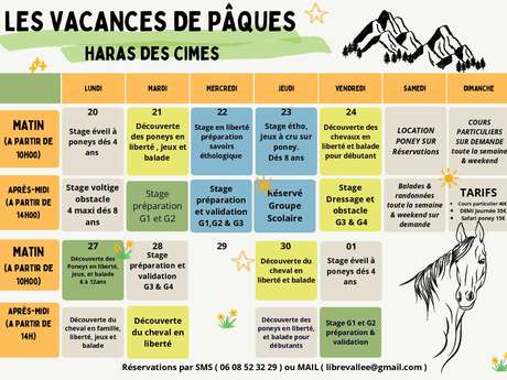 A la découverte des chevaux avec le Haras des Cimes