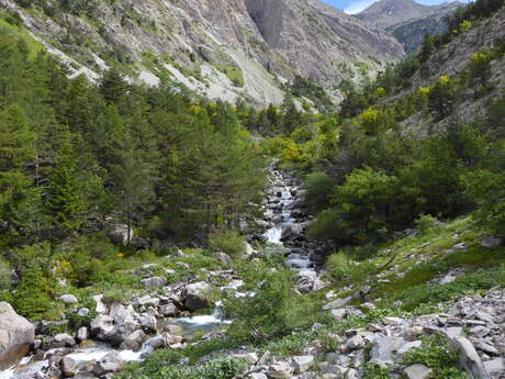 Trail N°9 : Montée Tête de l'Estrop