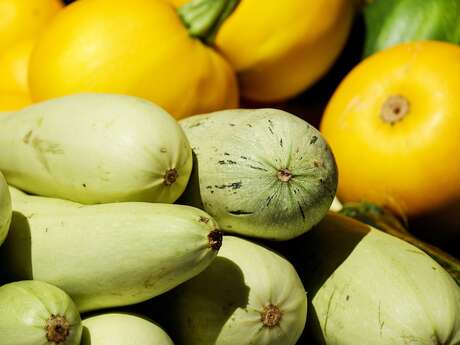 Mr Brun Jean-Raoul - Market gardener