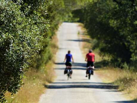 SAINT ETIENNE DU GRES - Le tour des Alpilles à vélo, en 3 jours