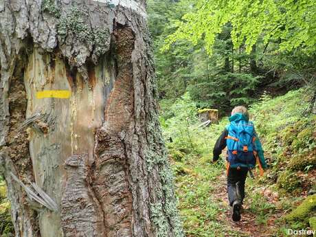 N°12 (rouge/bleu) - Balade des chartreux