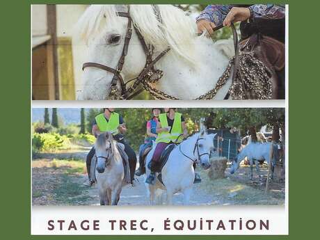 Stage d’Équitation