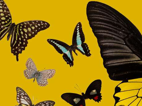 Ateliers Pédagogiques du Muséum - Vacances d'hiver