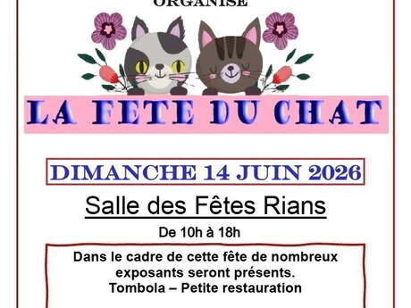 Fête du chat