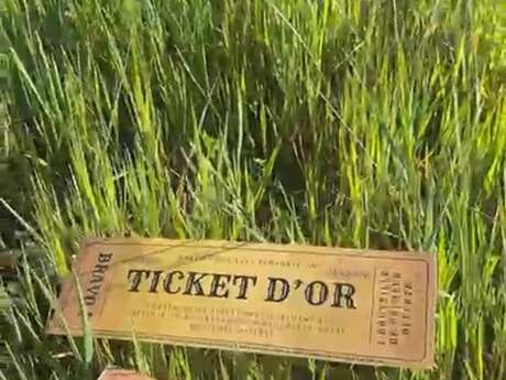 À la recherche du Ticket d’Or du Vignoble du Roy René