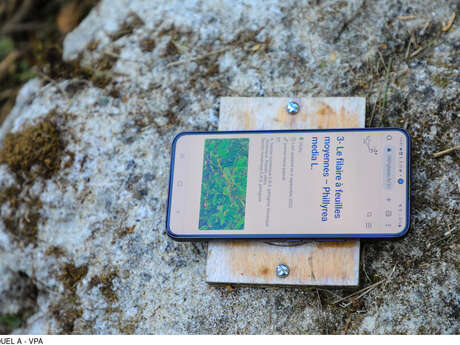 Sentier numérique ethnobotanique