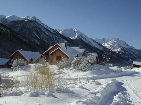 Gentil Robin - Soldanelle